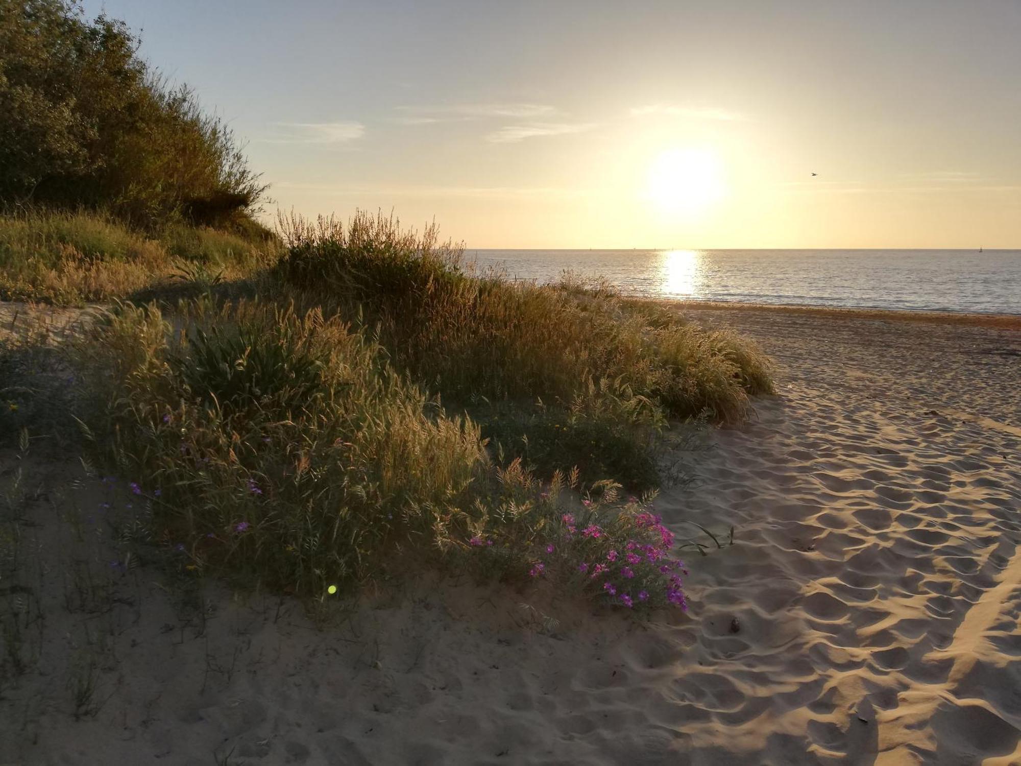 Moderno Apartamento Junto A La Playa Санлукар-де-Баррамеда Экстерьер фото